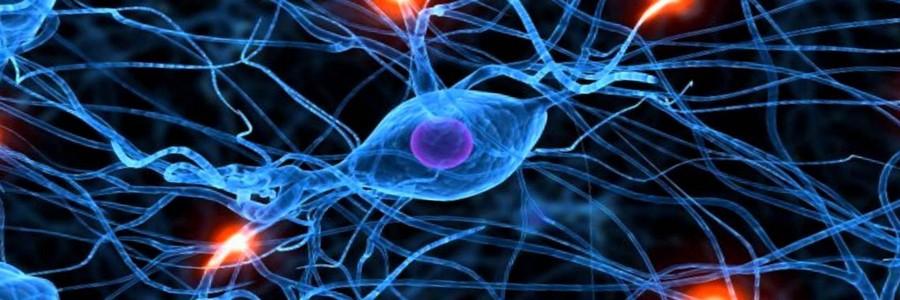 imagem de Aconteceu no IDOR