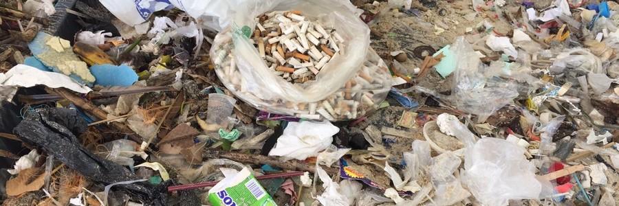 imagem de IDOR apoia ação ambiental da Lixo Zero