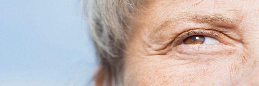 imagem de Novo estudo descobre mecanismo antienvelhecimento em ratos