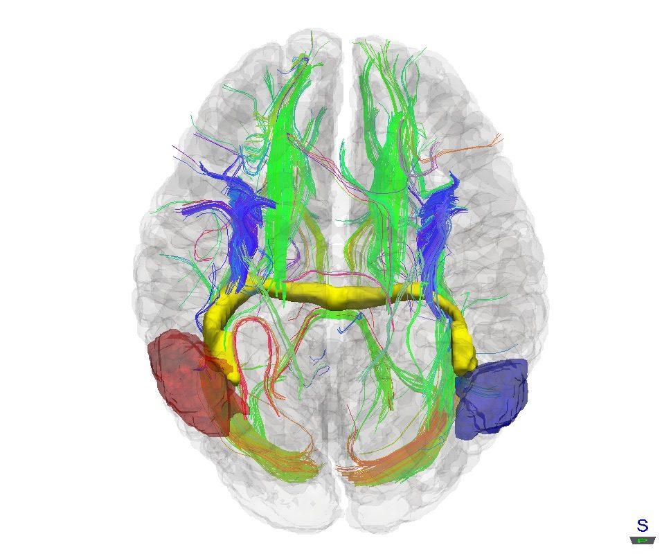 imagem de Pesquisadora participa de evento acadêmico na UFRS