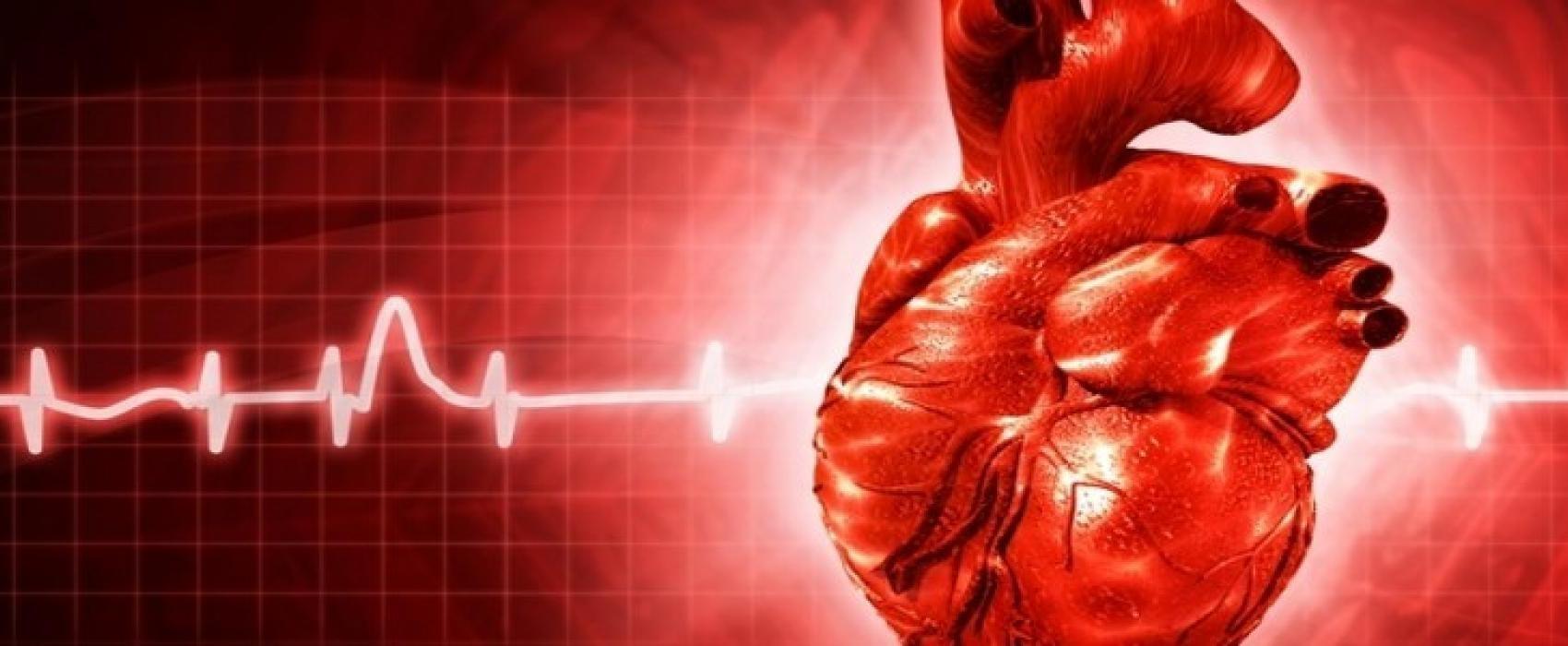 imagem de IMERSÃO EM ARRITMIAS CARDÍACAS