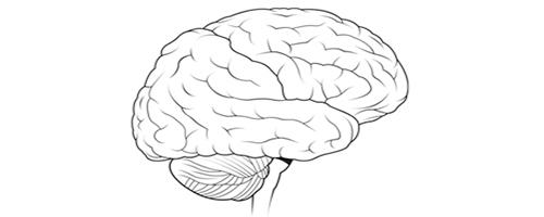 imagem de Estudo publicado em setembro já é recorde de impacto