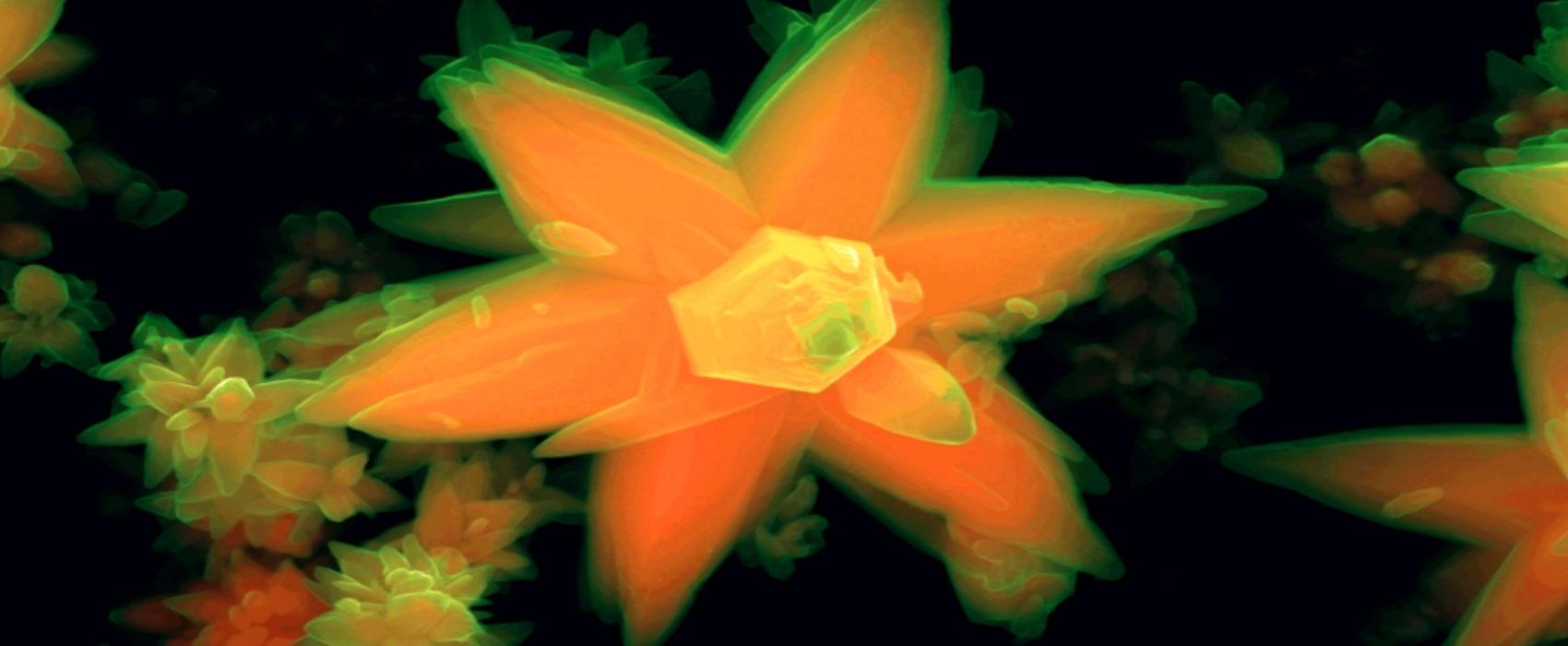 imagem de Mundos Invisíveis