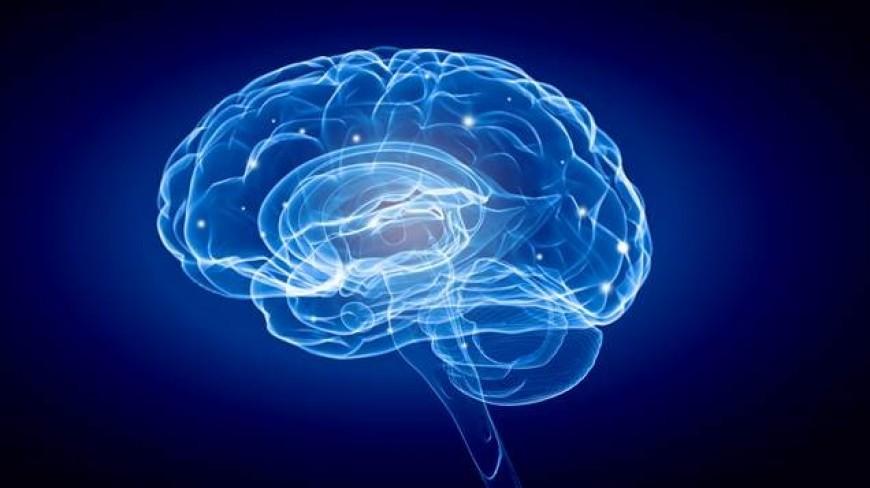 imagem de Estudo IDOR é premiado na Itália