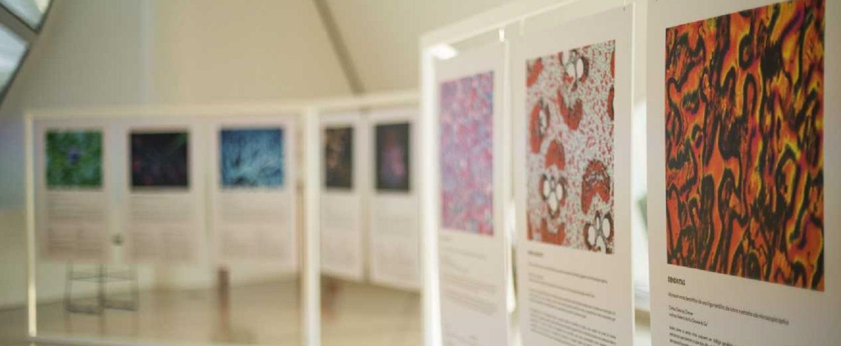 imagem de Exposição revela a beleza de mundos invisíveis