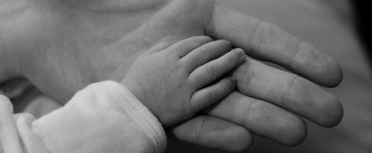 imagem de Panorama das desordens do neurodesenvolvimento