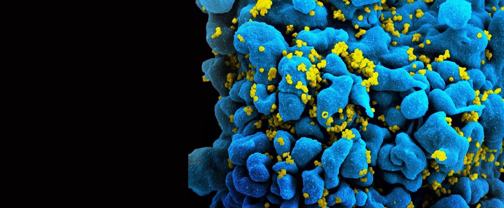 imagem de Oportunidades