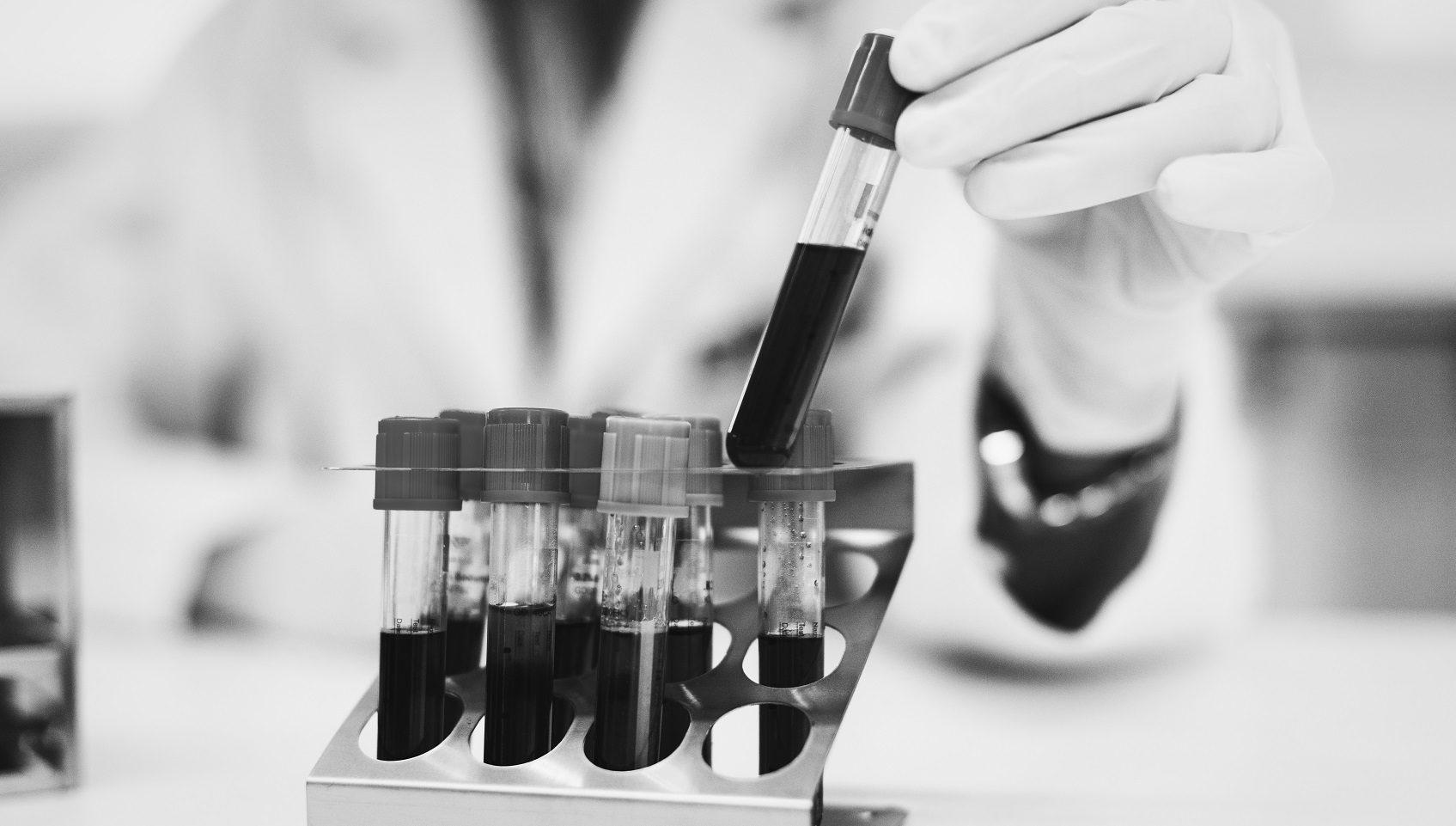 imagem de Zika ou chikungunya?