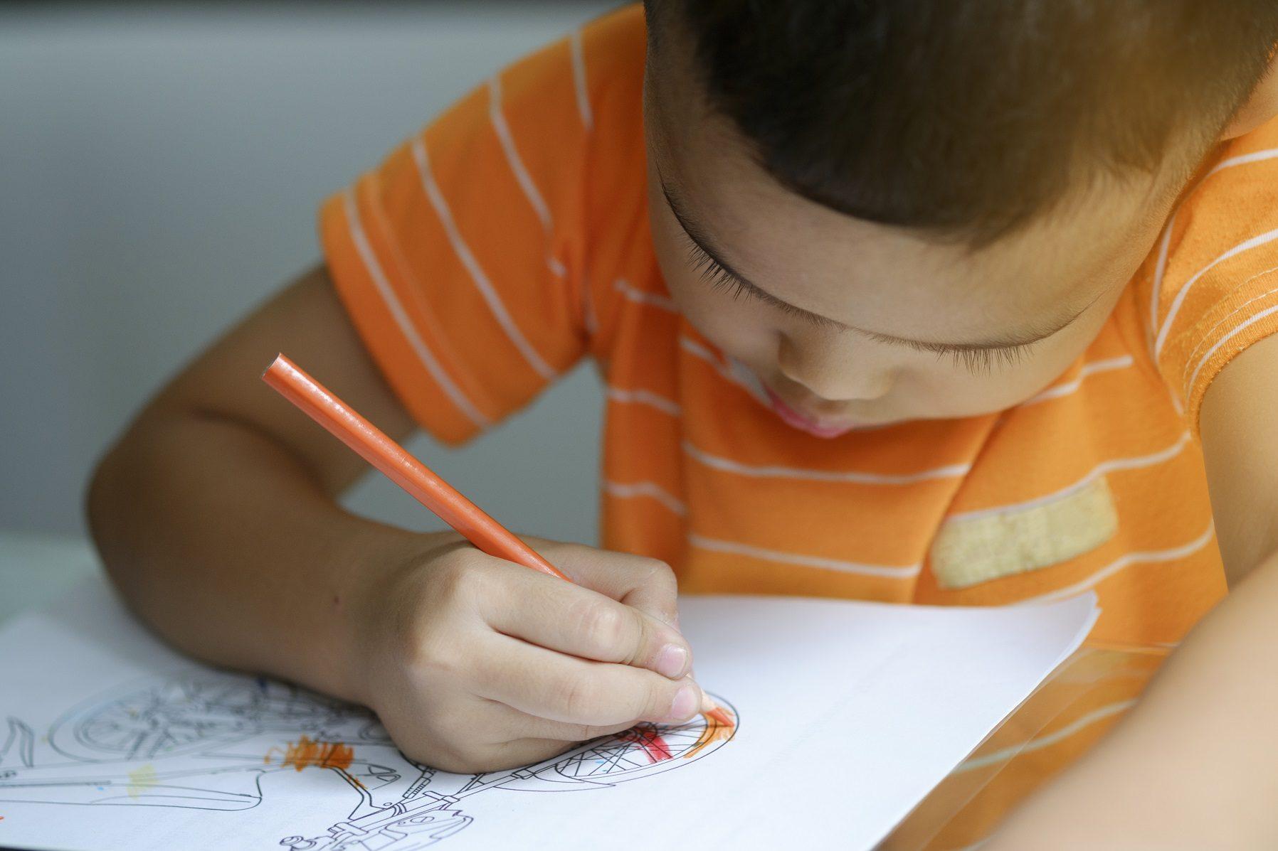 imagem de Neurociência a serviço da sala de aula