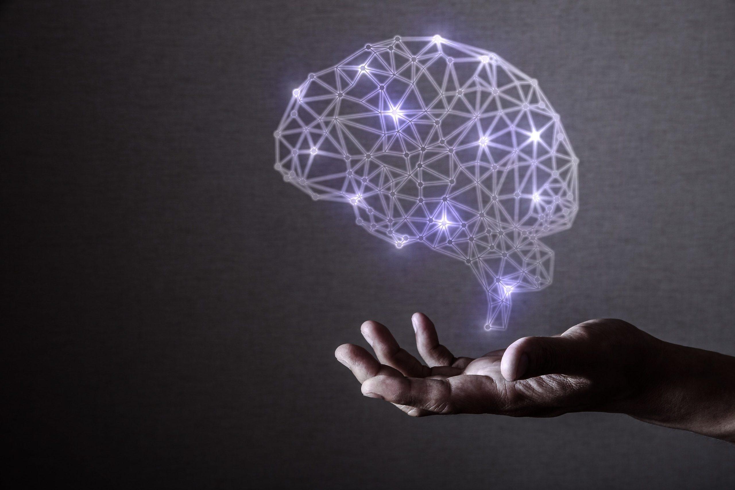 imagem de Treine (e transforme) seu cérebro