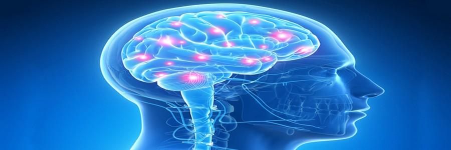 imagem de Workshop para Educadores – CNA-IDOR