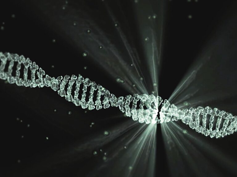 imagem de Conheça um dos tipos de testagem para o novo coronavírus: RT-PCR