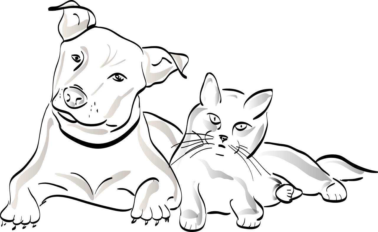 imagem de Atualizações da última semana das pesquisas com Sars-Cov-2