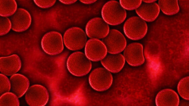 imagem de Plasma de convalescentes segue como possível tratamento para Covid-19