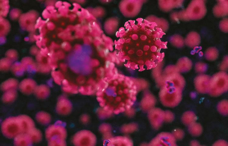 imagem de Anticorpos e células T nos protegem de formas graves da Covid-19