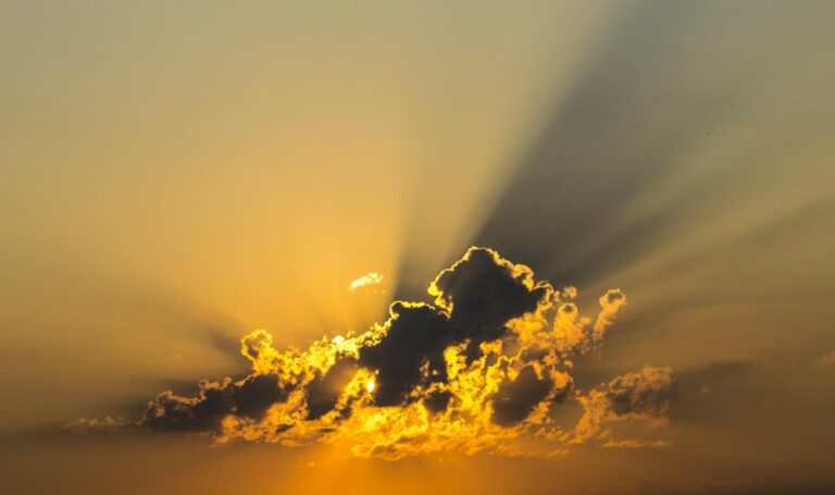 imagem de Temperatura, incidência solar e a contaminação por Sars-CoV-2