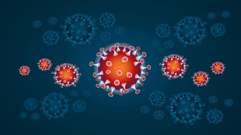 imagem de Agência FAPESP - Sars-Cov-2 usa estratégia similar à do HIV para infectar células de defesa