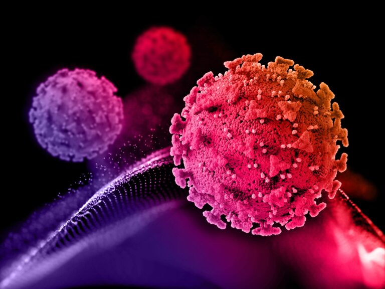 imagem de Estudo brasileiro descobre infecção simultânea por duas linhagens do Sars-CoV-2
