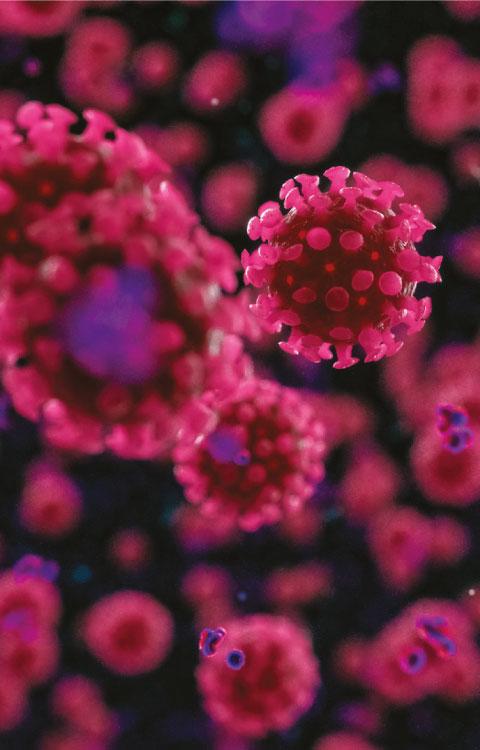 imagem de CNN: 7 fatos sobre reinfecção pela Covid-19