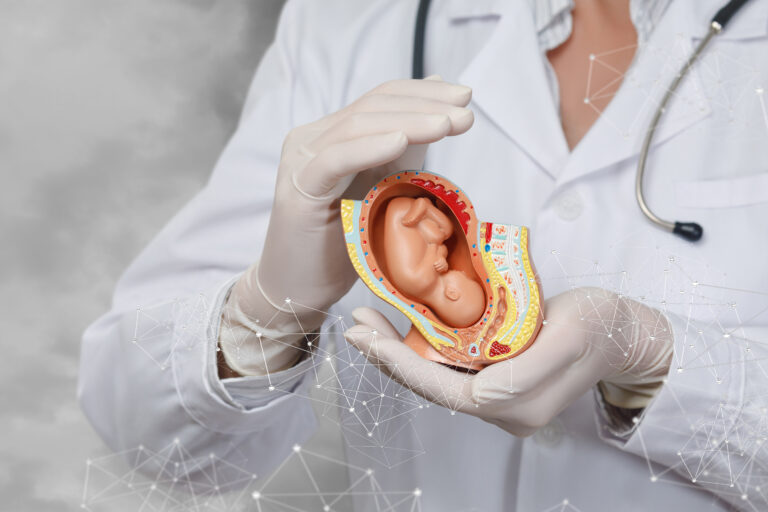 imagem de Faculdade IDOR abre inscrições para o curso de Medicina Materno Fetal.