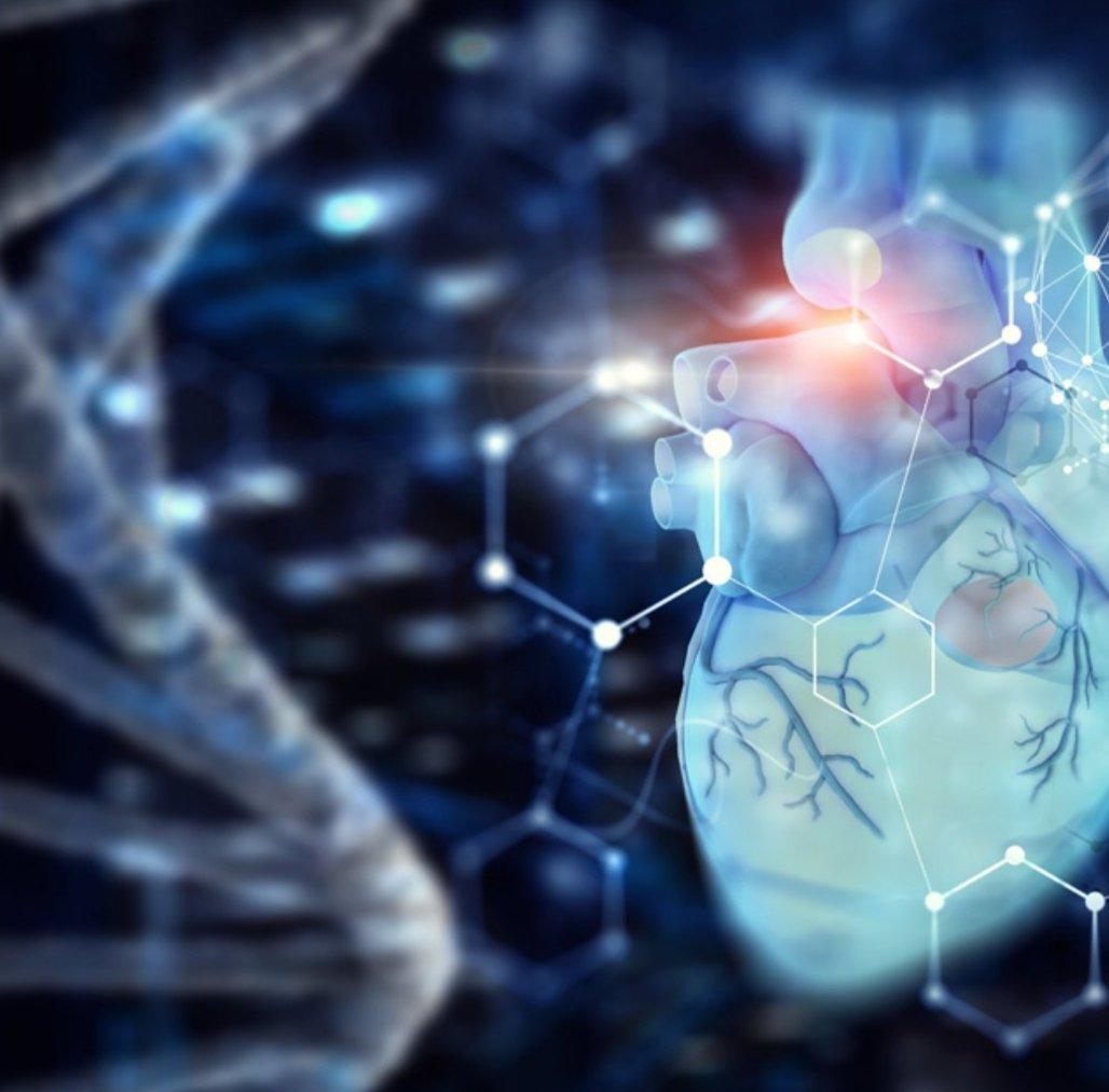 imagem de Curso ACLS com turmas abertas no SP, PE e RJ: Inscreva-se agora!