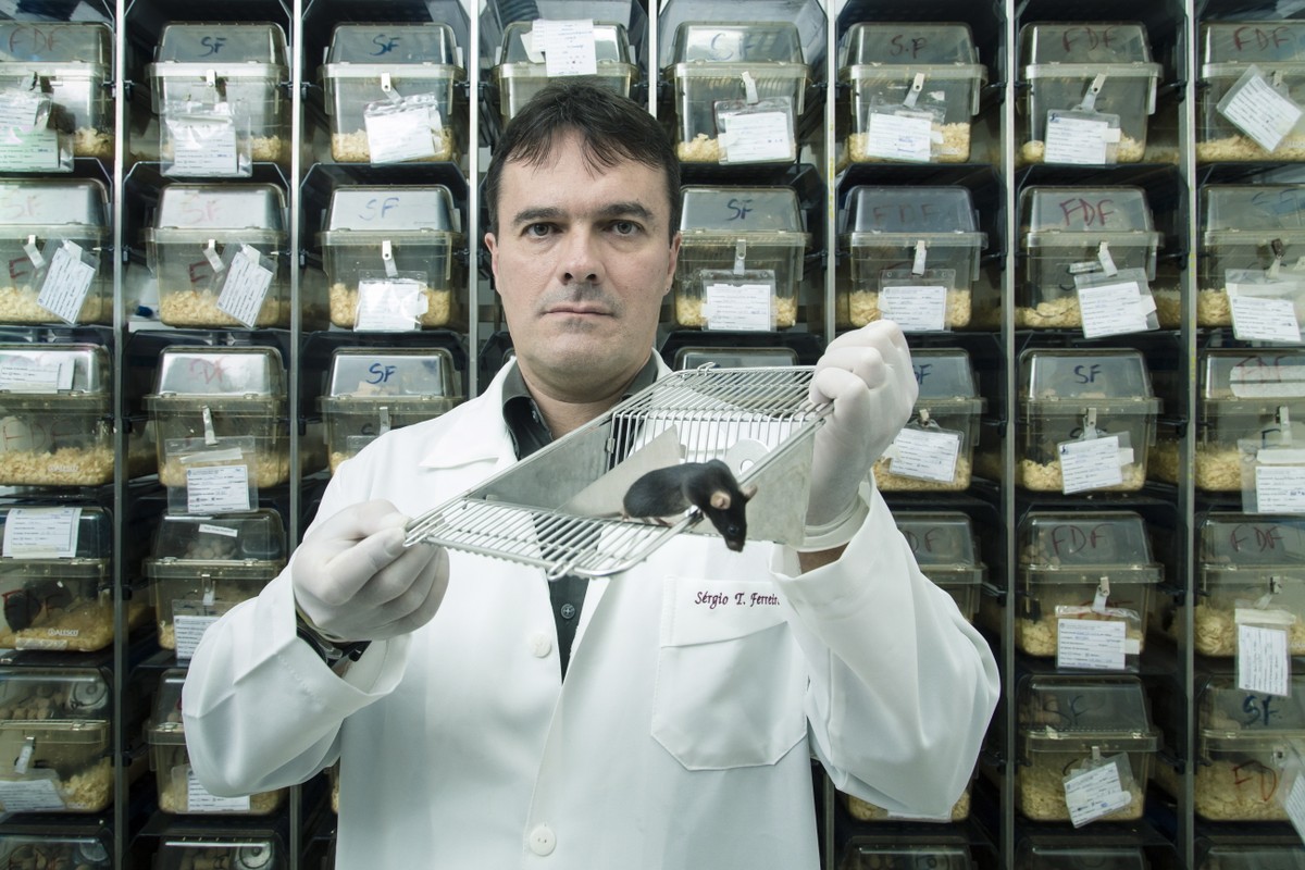 imagem de Globo: '40% dos casos de Alzheimer podem ser evitados com os hábitos de vida', diz neurocientista