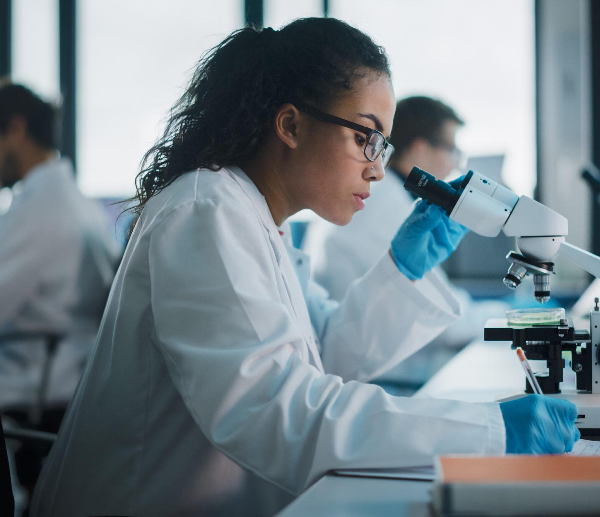 imagem de Graduação