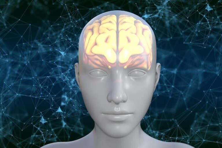 imagem de Why Congenitally Blind People Show Activity in Visual-Processing Areas of the Brain - Neuroscience News