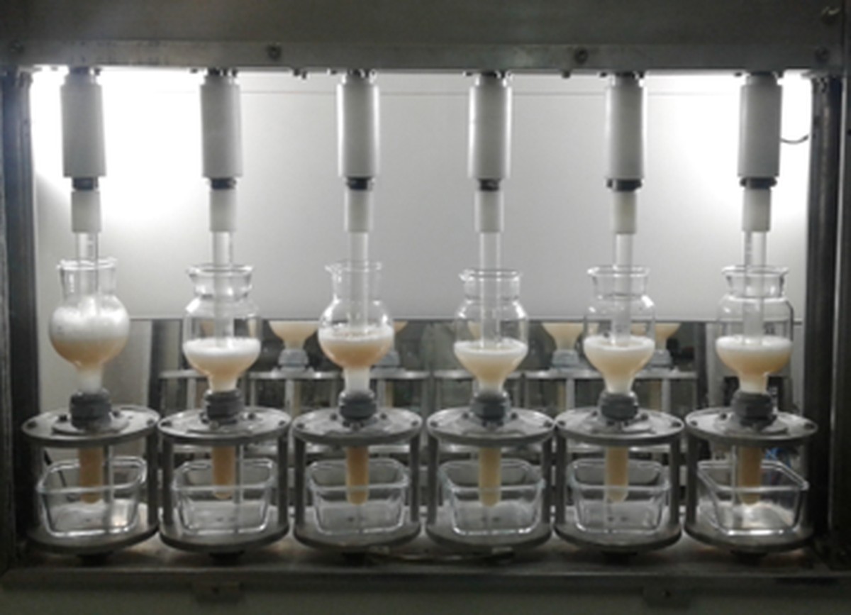 imagem de O Globo | Cérebro feminino tem mais neurônios na área da resolução de problemas, masculino na área visual; revela estudo inédito